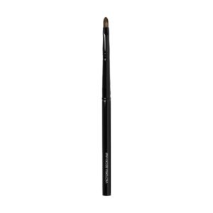 Detailed Lip Brush
