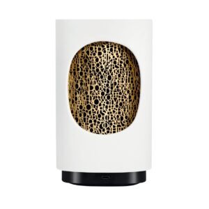 Electric Diffuser for the Home